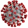Image of COVID-19/coronavirus