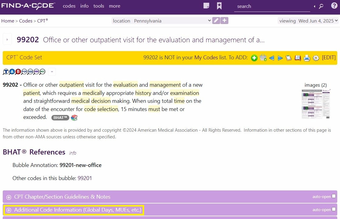code details additional code info section