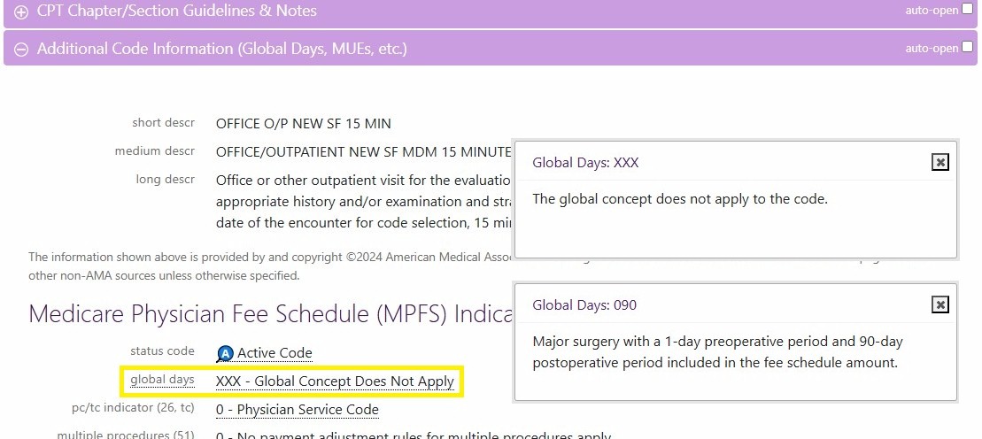 additional code info section showing global days