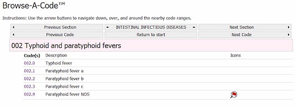 Medical Code Searching & Browsing